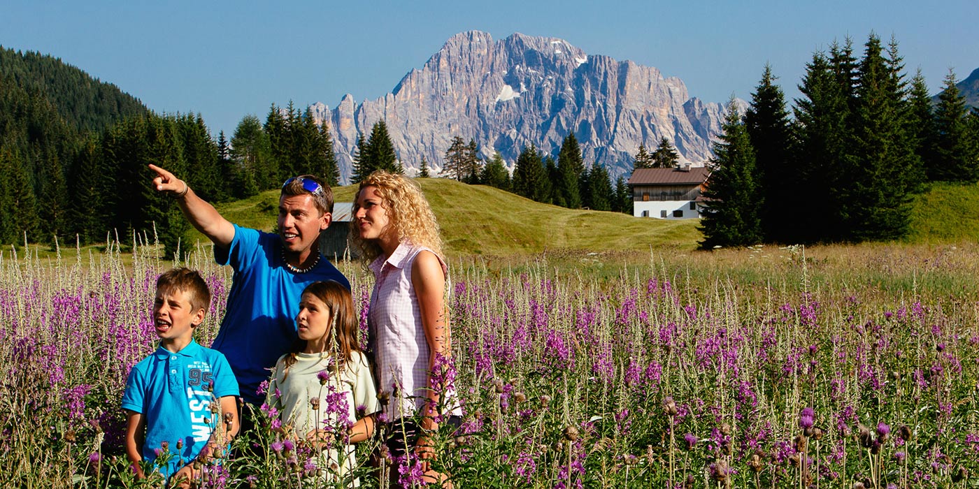 Familie steht auf einer Wiese mit violetten Blumen mit den Dolomiten im Hintergrund und schaut Richtung Horizont